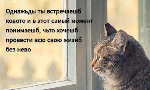 Однажьды ты встречаец KOBOTO и в этот самый мемен` понимаешб, чьто хочёш@ провести всю свою без нево 4 7%