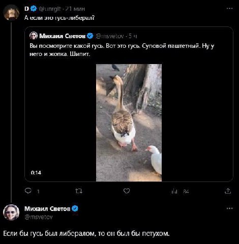 21 мин Аесли это гусь-либерал? михаил Светов @msvetoy Вы посмотрите какой гусь. Вот это гусь. Суповой паштетный. у него и жопка. Шипит. 0:14 От 84 Михаил Светов @msvetov Если бы гусь был либералом, то
