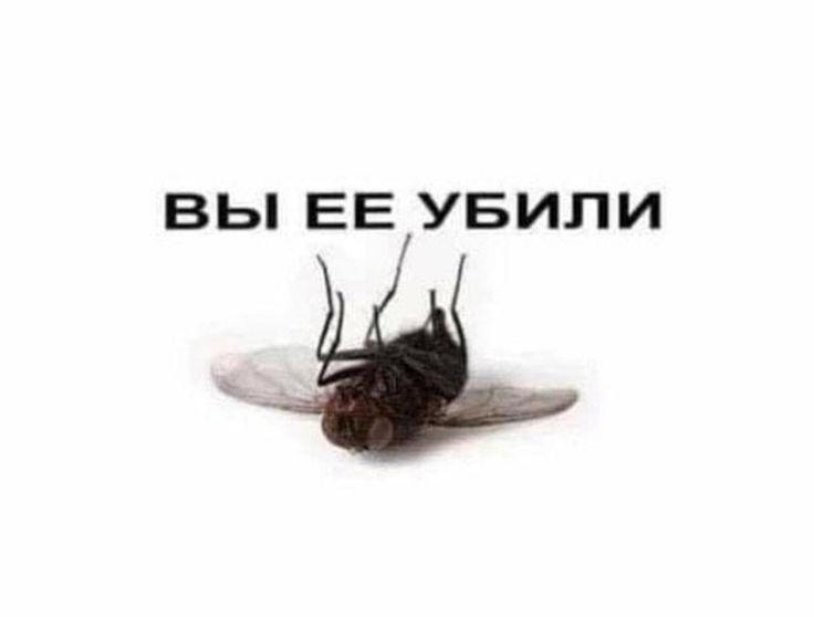 ВЫ ЕЕ УБИЛИ