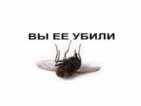 ВЫ ЕЕ УБИЛИ