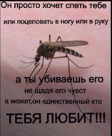 Он просто хочет спеть тебе или поцеловать в ногу или в руку его