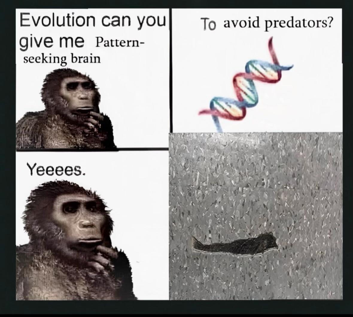 Evolution can you To avoid predators? give Pattern- seeking brain Jig Yeeees. 1 у