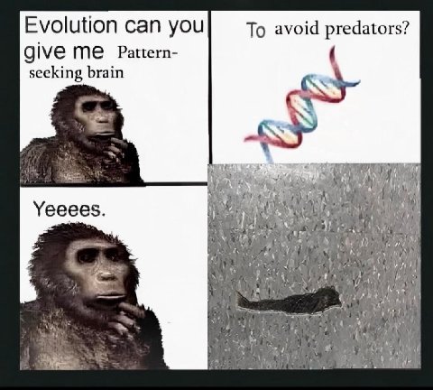 Evolution can you To avoid predators? give Pattern- seeking brain Jig Yeeees. 1 у