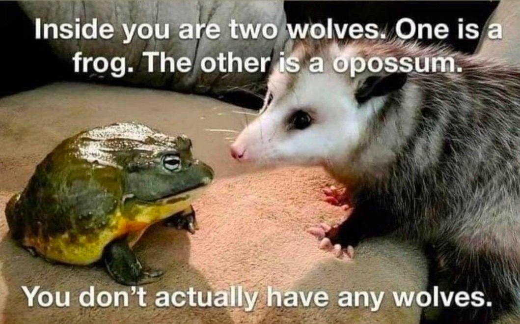 Inside you are two wolves. One is a frog. The others а Spossum. You don’t actually have any wolves.
