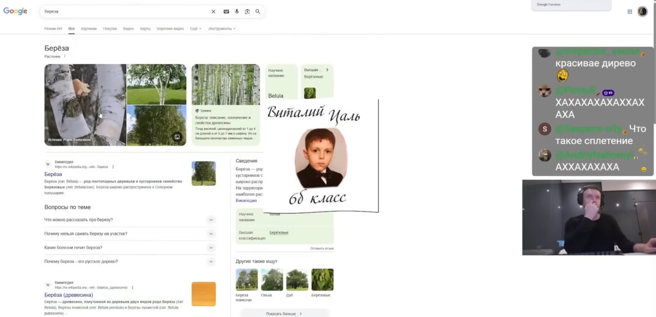 gle береза fol Все Берёза красивае дирево 43 if Березовые Betula i XAXAXAXAXAXXAX 4 Береза я АХА Виталий 1 4 Что такое сплетение Сведения Берем par AXXAXAXAXA Берёза кустарников с берёза nar pon широк