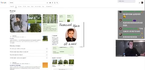 gle береза fol Все Берёза красивае дирево 43 if Березовые Betula i XAXAXAXAXAXXAX 4 Береза я АХА Виталий 1 4 Что такое сплетение Сведения Берем par AXXAXAXAXA Берёза кустарников с берёза nar pon широк