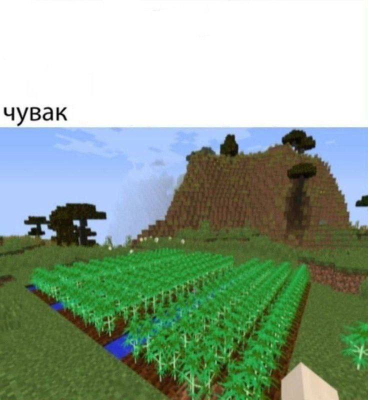 4 1