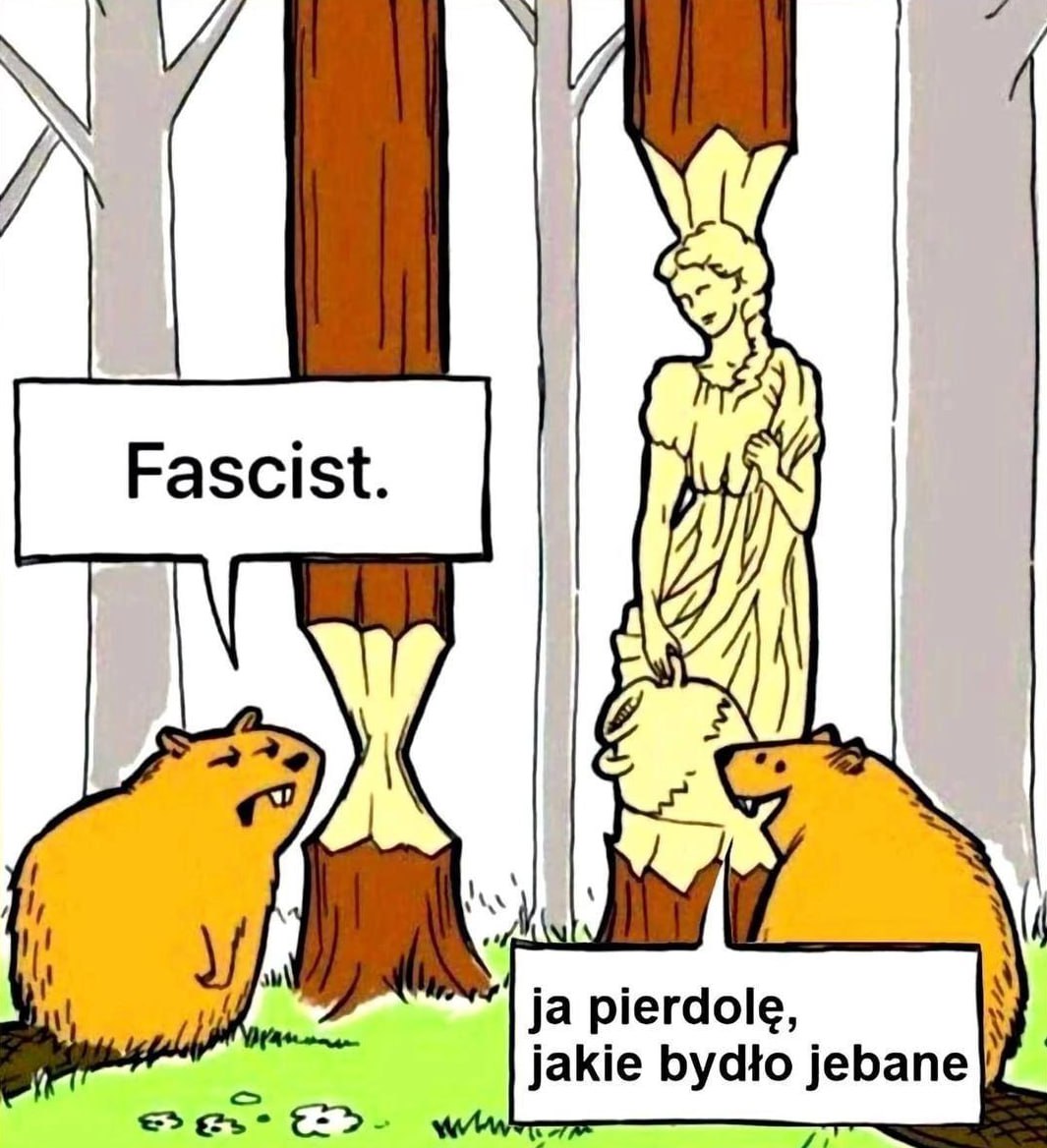 pierdole, jakie bydto