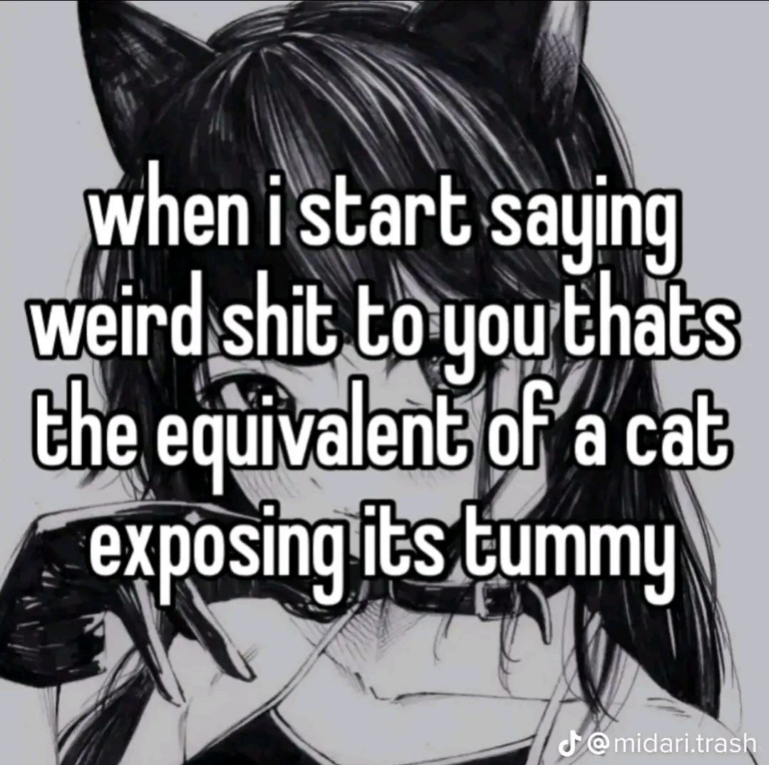 when i start saying weird shit to you thats the equivalent of acat exposing its idari.trash