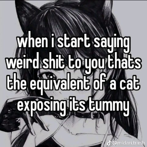 when i start saying weird shit to you thats the equivalent of acat exposing its idari.trash