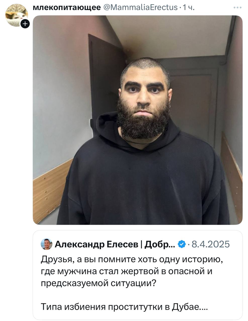 млекопитающее @MammaliaErectus (9 Александр Елесев Добр... Друзья, а вы помните хоть одну историю, где мужчина стал жертвой в опасной и предсказуемой ситуации? Типа избиения проститутки в Дубае....