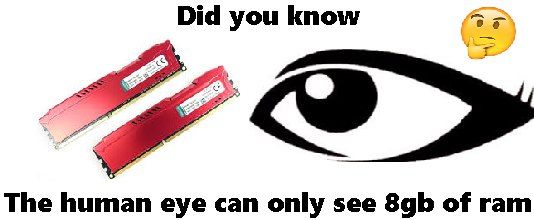 Did you know The human eye can only see of ram