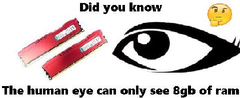 Did you know The human eye can only see of ram