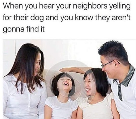 When you hear your neighbors yelling for their dog and you know they aren't gonna find it 4 А