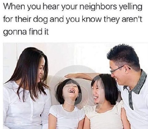 When you hear your neighbors yelling for their dog and you know they aren't gonna find it 4 А