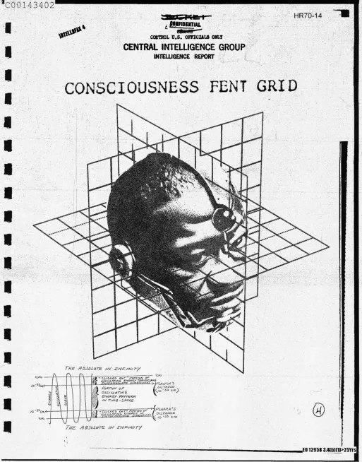 CONSCIOUSNESS FENT GRID