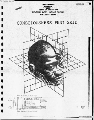 CONSCIOUSNESS FENT GRID