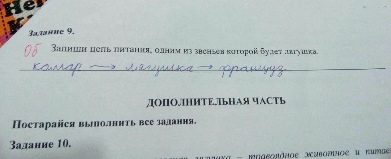 Залание 9. Запиши цепь питания, одним из звеньев которой будет лягушка 7A A ДОПОЛНИТЕЛЬНАЯ ЧАСТЬ Постарайся выполнить все задания. Задание 10. животное и питае
