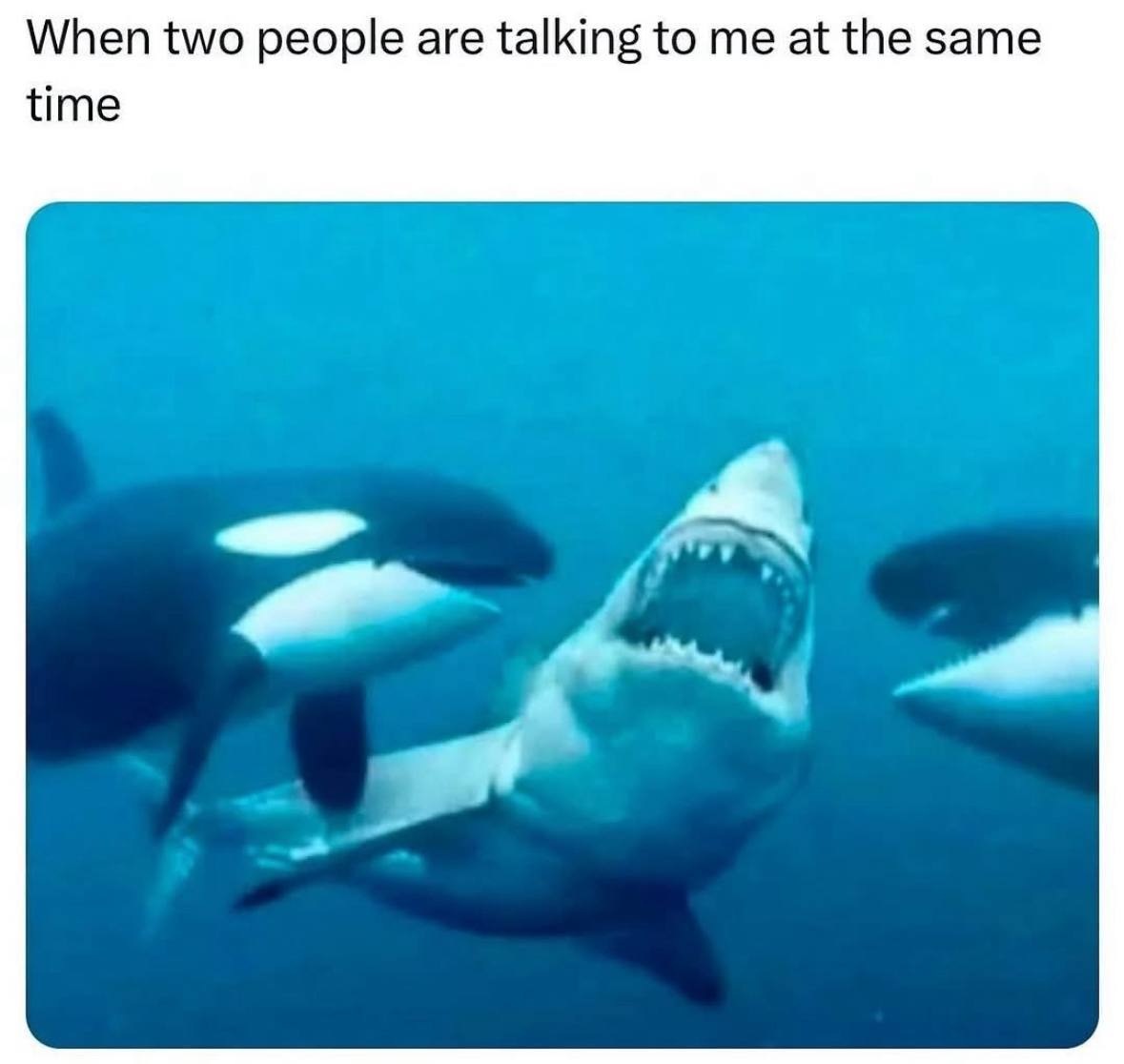 When two people are talking to me at the same time