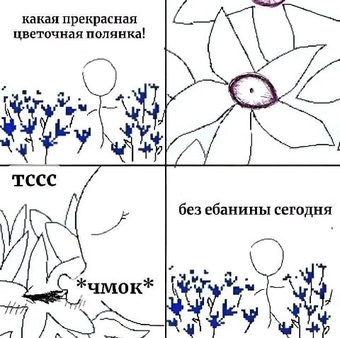 цветочная полянка! какая прекрасная без ебанины *чмок* 7
