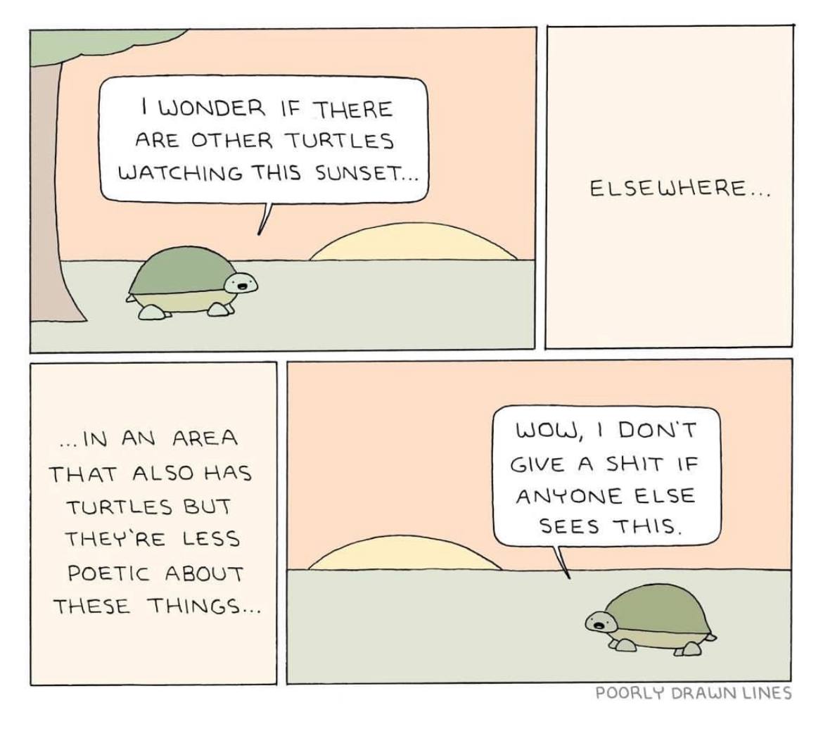 WONDER IF THERE ARE OTHER TURTLES WATCHING THIS SUNSET... ELSEWHERE... DON'T AREA THAT ALSO HAS GIVE A SHIT TORTEES ANYONE ELSE SEES THIS. LESS POETIC ABOUT ТНЕЗЕ POORLY DRAWN LINES
