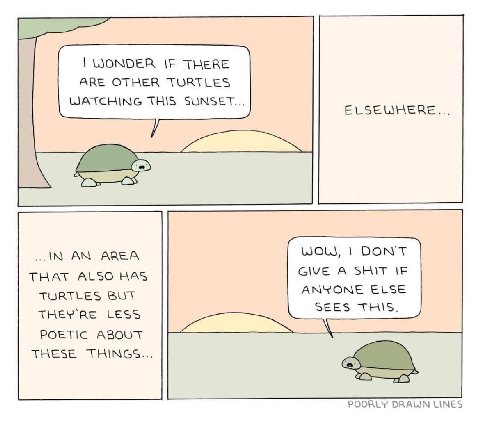 WONDER IF THERE ARE OTHER TURTLES WATCHING THIS SUNSET... ELSEWHERE... DON'T AREA THAT ALSO HAS GIVE A SHIT TORTEES ANYONE ELSE SEES THIS. LESS POETIC ABOUT ТНЕЗЕ POORLY DRAWN LINES