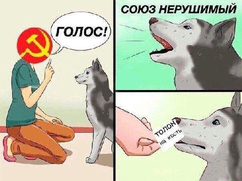 Разговоры о важном
