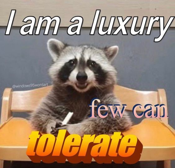 а luxury