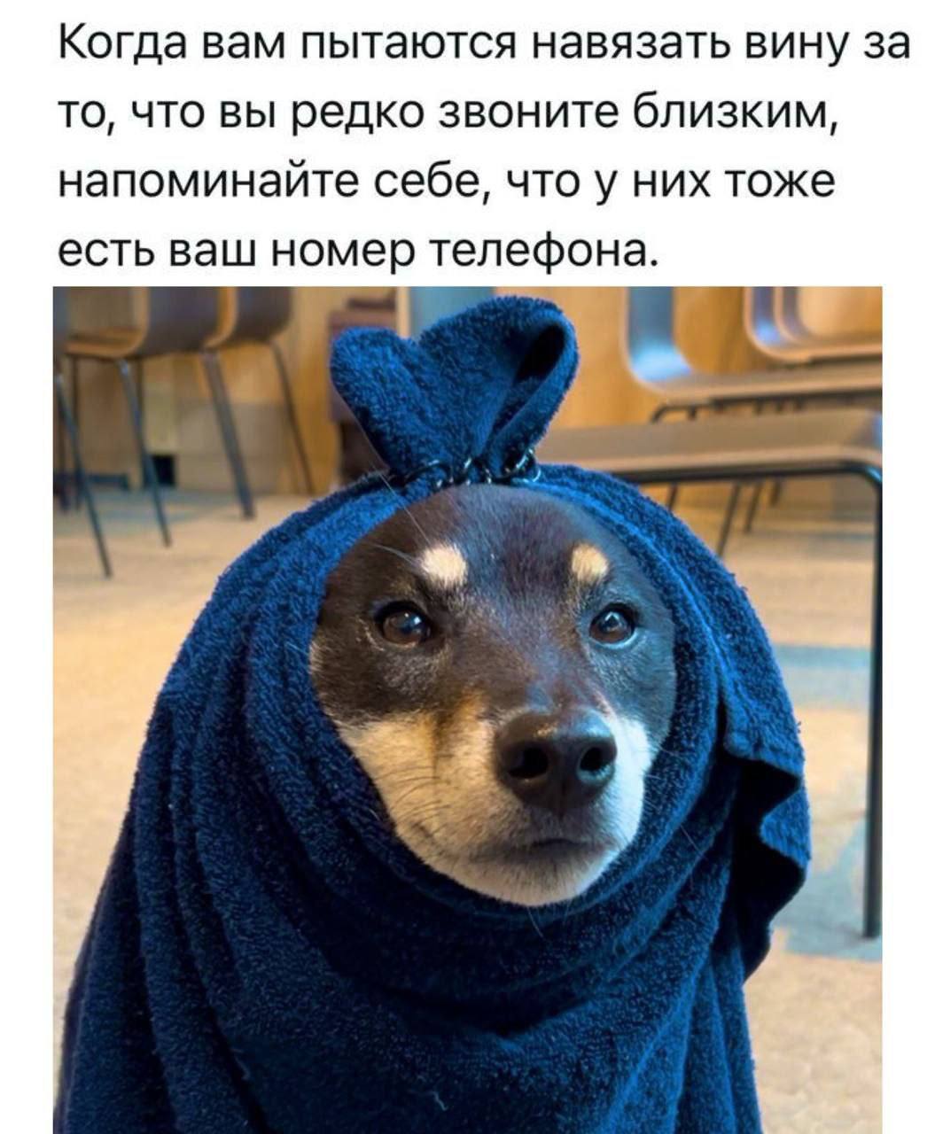 Когда вам пытаются навязать вину за то, что вы редко звоните близким, напоминайте себе, что у них тоже есть ваш номер телефона.