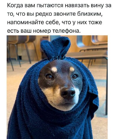 Когда вам пытаются навязать вину за то, что вы редко звоните близким, напоминайте себе, что у них тоже есть ваш номер телефона.