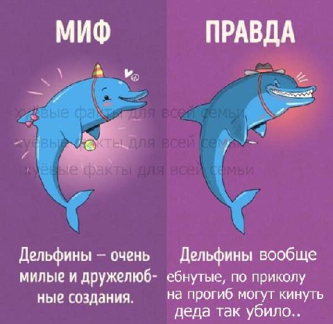 МИФ ПРАВДА a Дельфины очень Дельфины вообще милые и дружелюб- ебнутые, по приколу ные создания. на прогиб могут кинуть деда так убило..