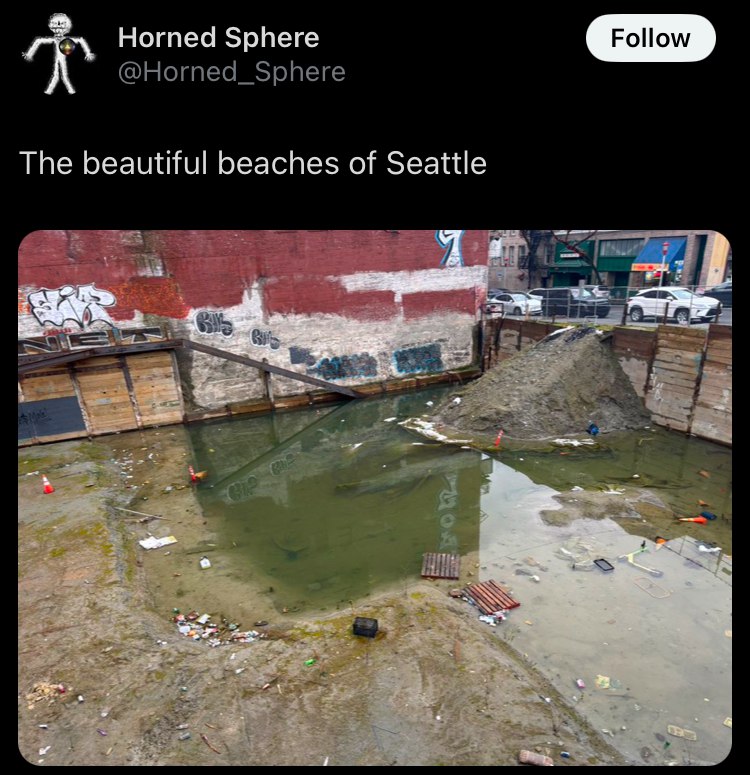 Horned Sphere The beautiful beaches of Seattle Я