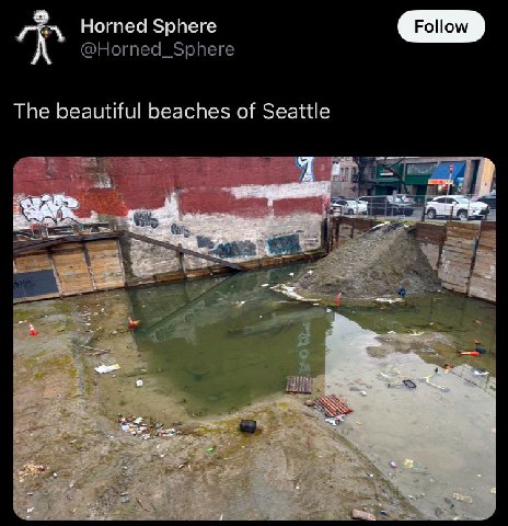 Horned Sphere The beautiful beaches of Seattle Я