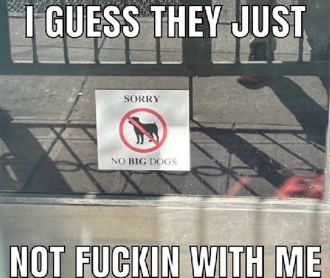 GUESS THEY JUST SORRY NO BIG NOT