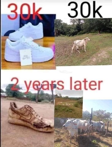 ета 41" later у as “Bers