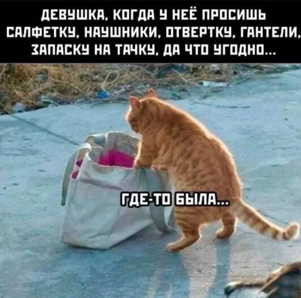 ДЕВУШКА, КОГДА НЕЕ ПРОСИШЬ САЛФЕТКУ, НАУШНИКИ, ОТВЕРТКУ, ГАНТЕЛИ НА ТАЧКУ. ДА ЧТО УГОДНО ГДЕ-ТО БЫЛА..