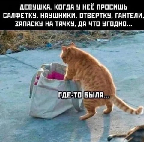 ДЕВУШКА, КОГДА НЕЕ ПРОСИШЬ САЛФЕТКУ, НАУШНИКИ, ОТВЕРТКУ, ГАНТЕЛИ НА ТАЧКУ. ДА ЧТО УГОДНО ГДЕ-ТО БЫЛА..