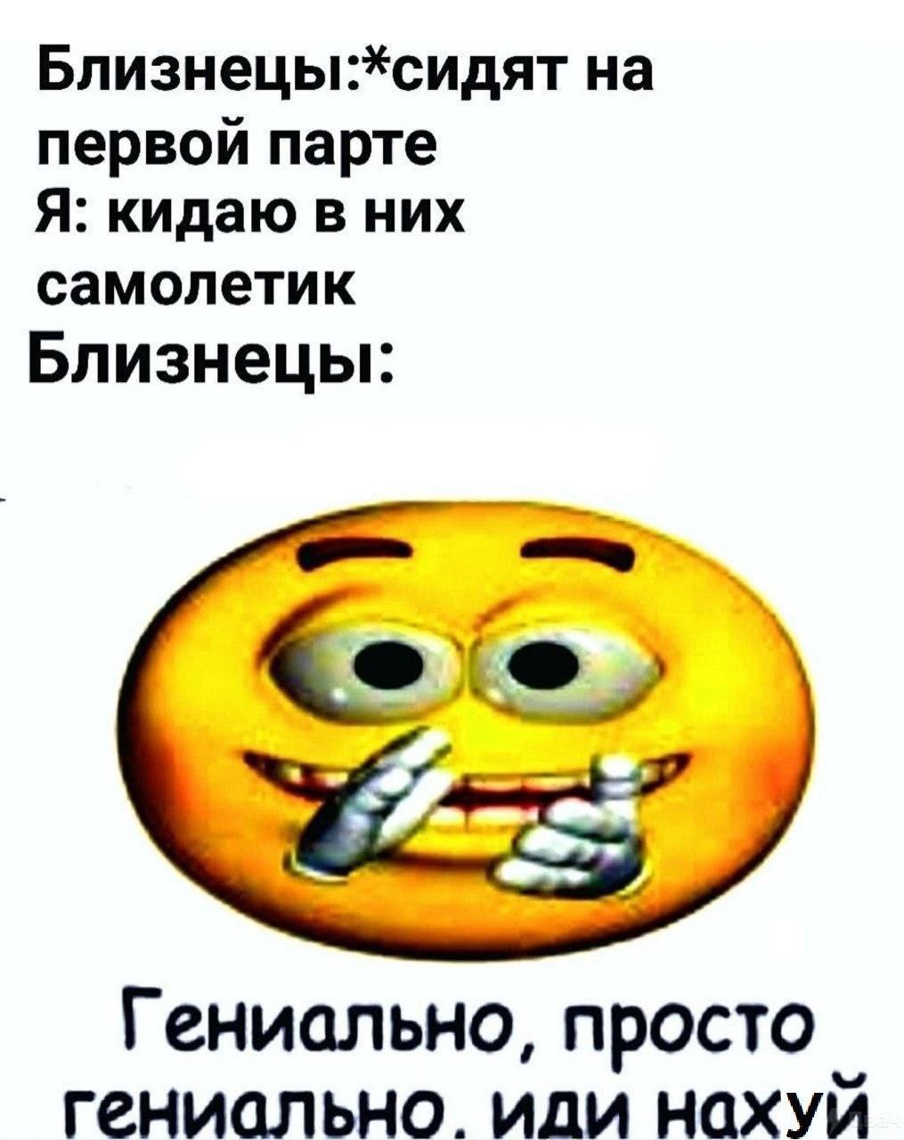 на первой парте Я: кидаю в них самолетик Близнецы: Гениально, просто гениально иди нахуй