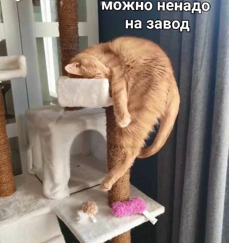 можно ненадо на завод