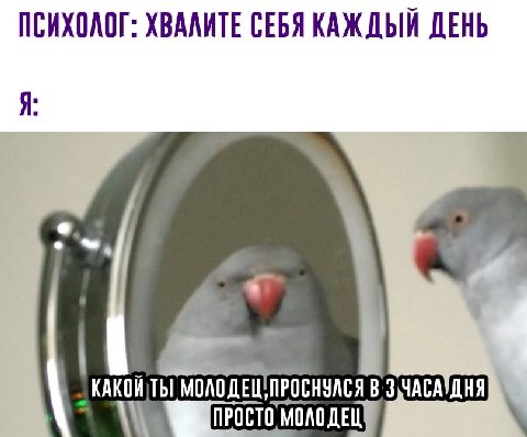 ПСИХОЛОГ: ХВАЛИТЕ СЕБЯ КАЖДЫЙ ДЕНЬ Я КАКОЙ ТЫ ПРОСТО МОЛОДЕЦ