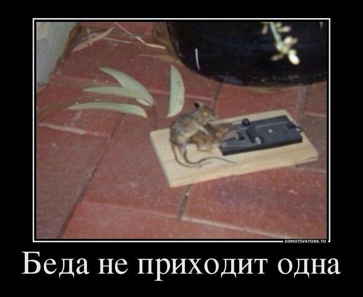 Беда не приходит одна