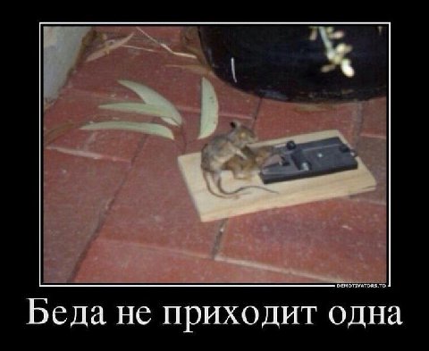 Беда не приходит одна