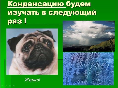 Жалко!