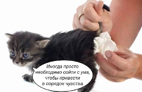у Иногда просто необходимо сойти с ума, чтобы привести a в порядок чувства.