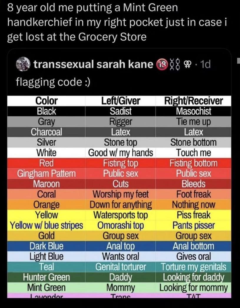 о year old me putting a Mint Green handkerchief in my right pocket just in case eet lost at the Grocery Store transsexual sarah kane cocle Black Sadist Masochist Charcoal Таех White Goodw/myhands Ging