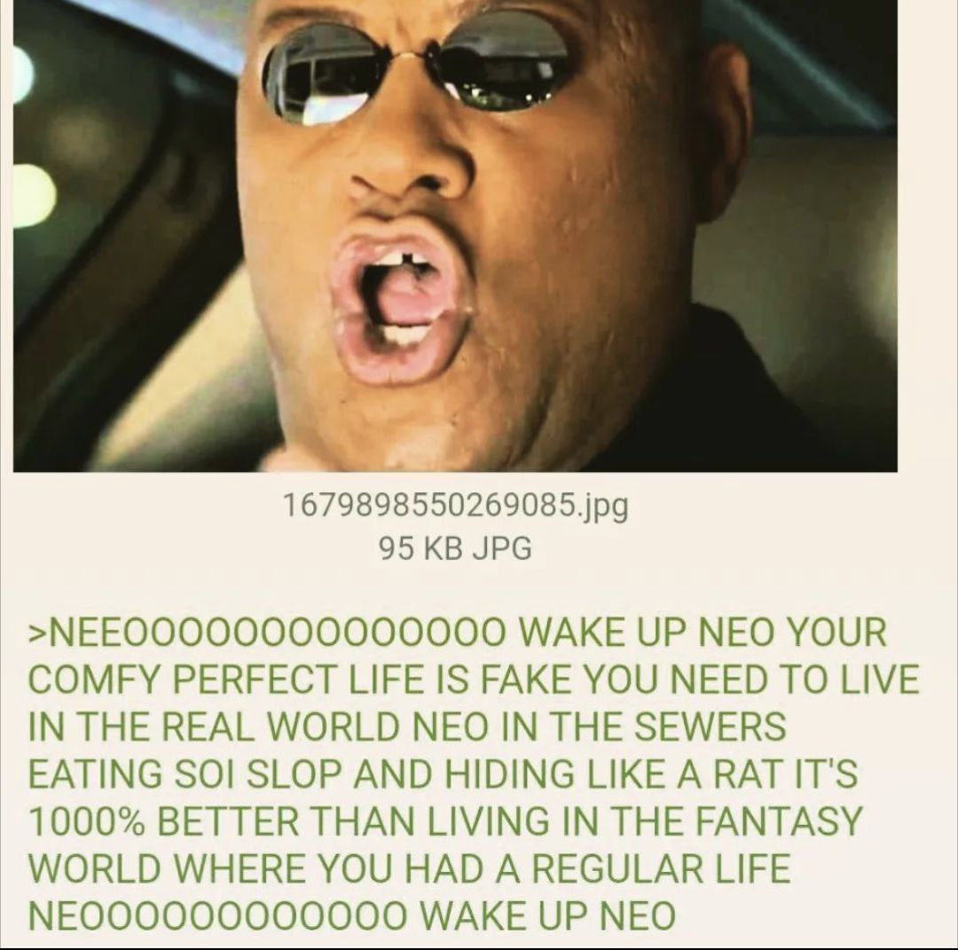 1679898550269085.jpg 95 JPG WAKE UP NEO YOUR COMFY PERFECT LIFE IS FAKE YOU NEED TO LIVE IN THE REAL WORLD NEO IN THE SEWERS EATING SOI SLOP AND HIDING LIKE A RAT IT'S 1000% BETTER THAN LIVING IN THE 