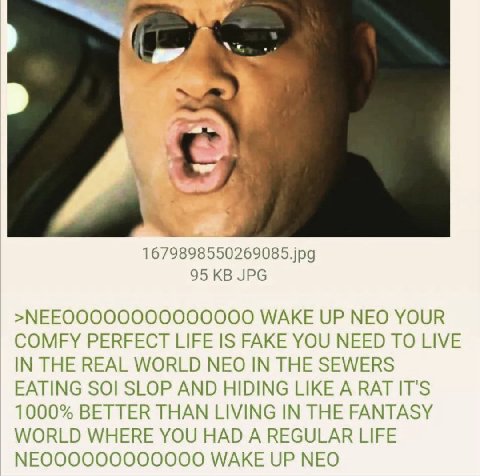1679898550269085.jpg 95 JPG WAKE UP NEO YOUR COMFY PERFECT LIFE IS FAKE YOU NEED TO LIVE IN THE REAL WORLD NEO IN THE SEWERS EATING SOI SLOP AND HIDING LIKE A RAT IT'S 1000% BETTER THAN LIVING IN THE 