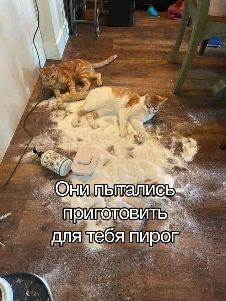для тебя пирог