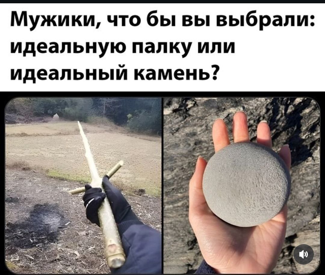Мужики, что бы вы выбрали: идеальную палку или идеальный камень? 4