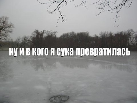 a кого я сука превратилась